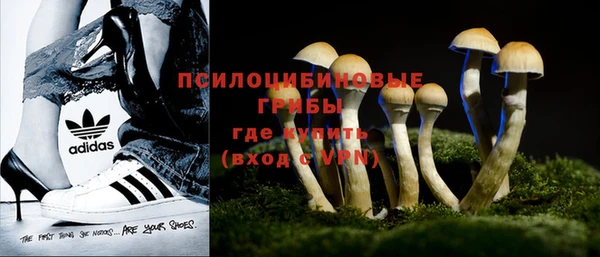 PSILOCYBIN Армянск